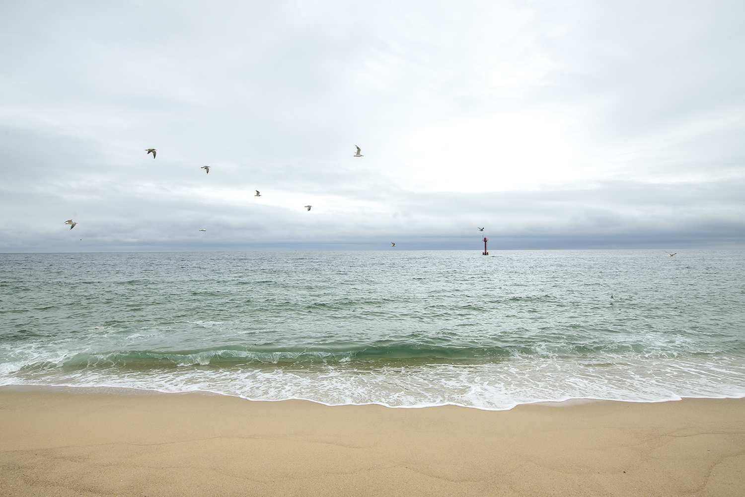여러분과 함께라면 바다를 지킬 수 있어요!_ 홍선욱 심사위원님